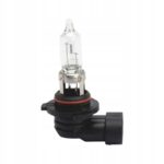 WURTH Żarówka halogenowa HB3 12V/60W - obrazek 2