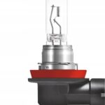 WURTH Żarówka halogenowa H11 24V 70W